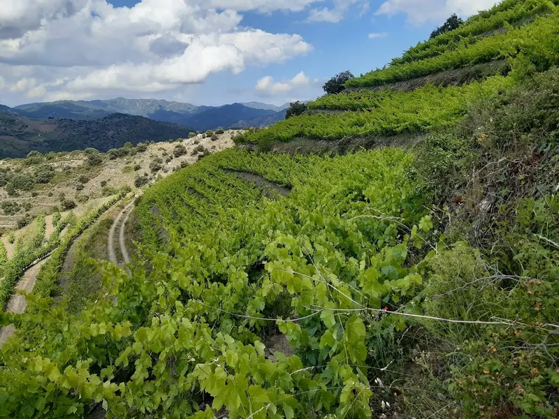Giol Porrera