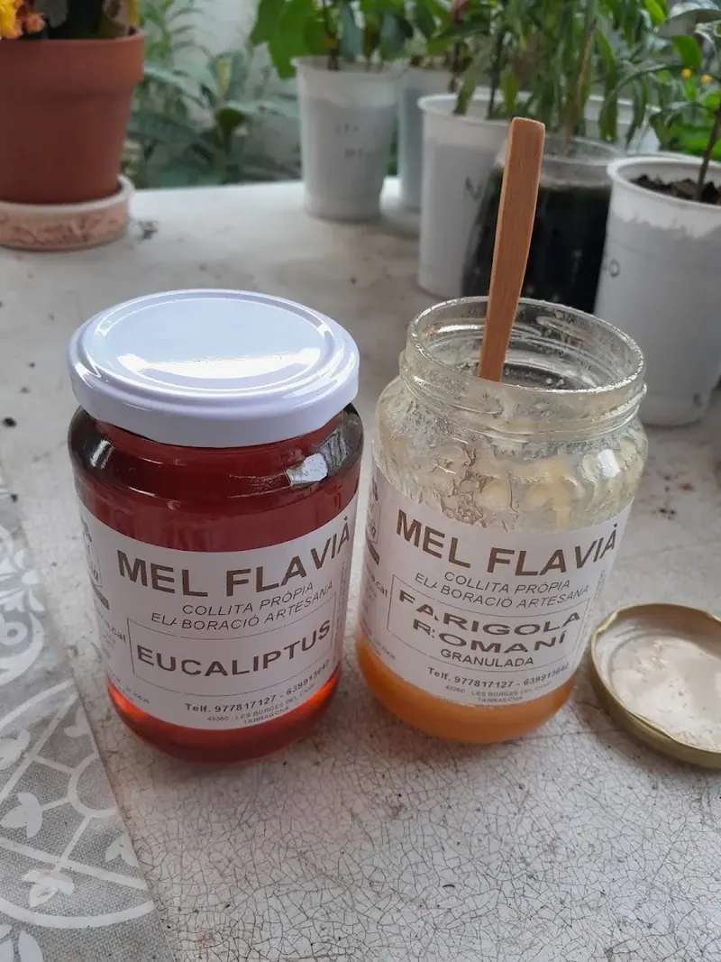 Mel Flavià
