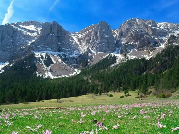 Berguedà & Cadí — горные сыроварни, via ferrata и каменные плато