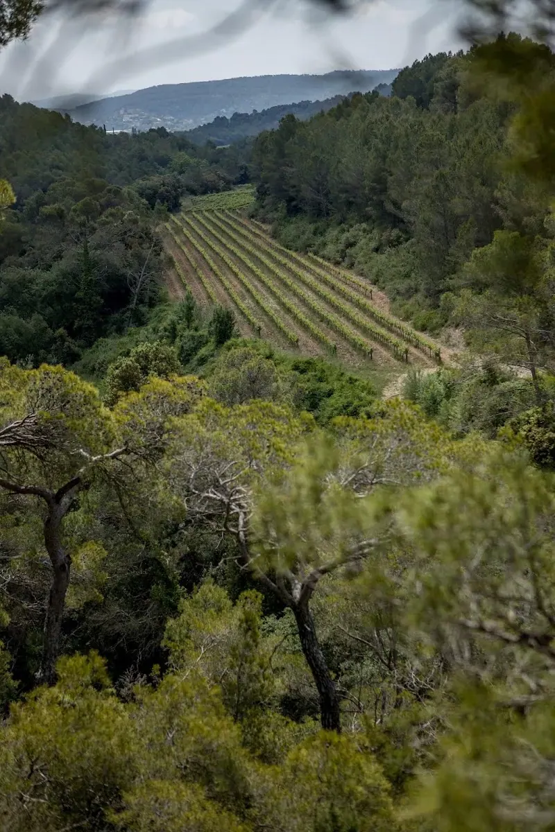 Penedès — две недели cava, masias и mineral воды