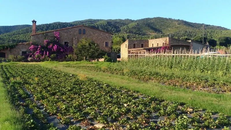 Mas Ponsjoan