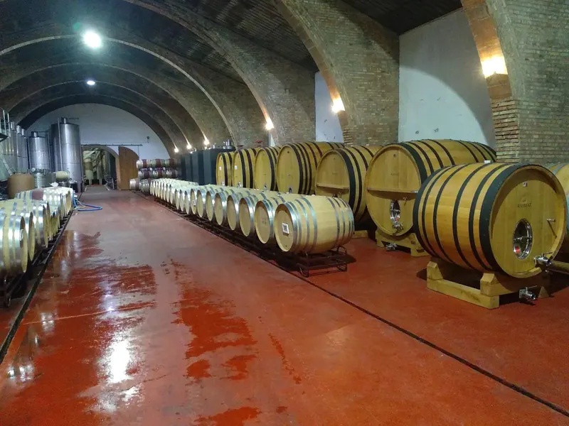 Codorniu Raimat